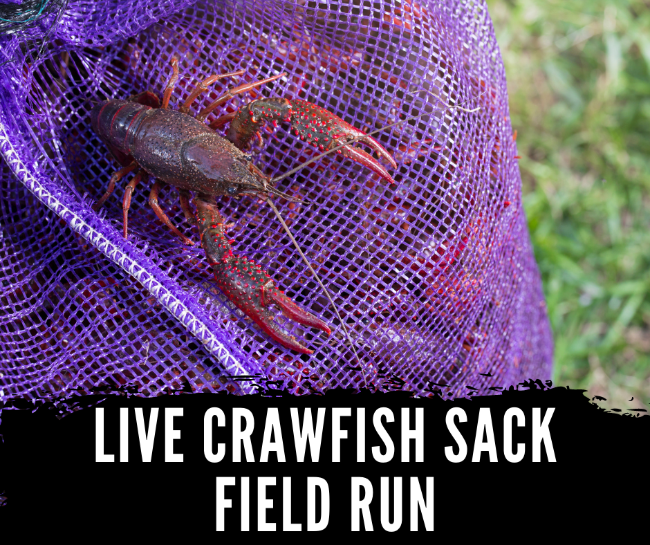 Live Crawfish Sack  Crawfish Connections